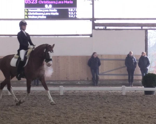 Reitturnier Datteln 2018