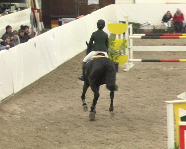 Reitturnier Viernheim 2018