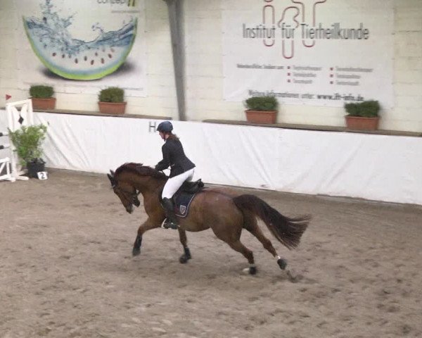 Reitturnier Viernheim 2018