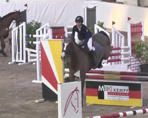 Reitturnier Viernheim 2018