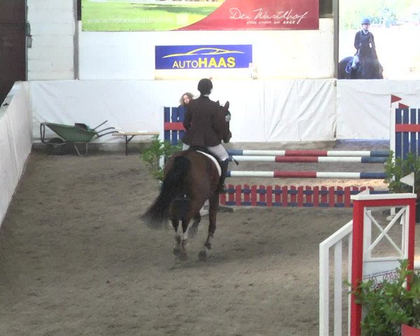 Reitturnier Viernheim 2018