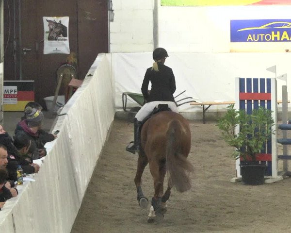 Reitturnier Viernheim 2018