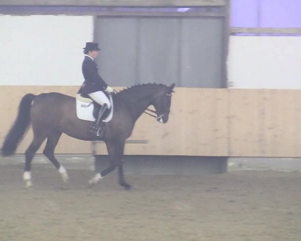 Reitturnier Datteln 2018