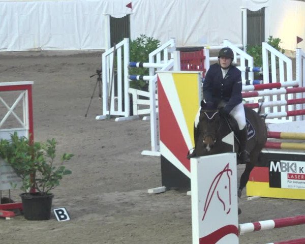 Reitturnier Viernheim 2018