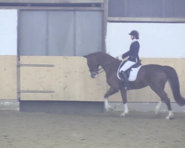 Reitturnier Datteln 2018