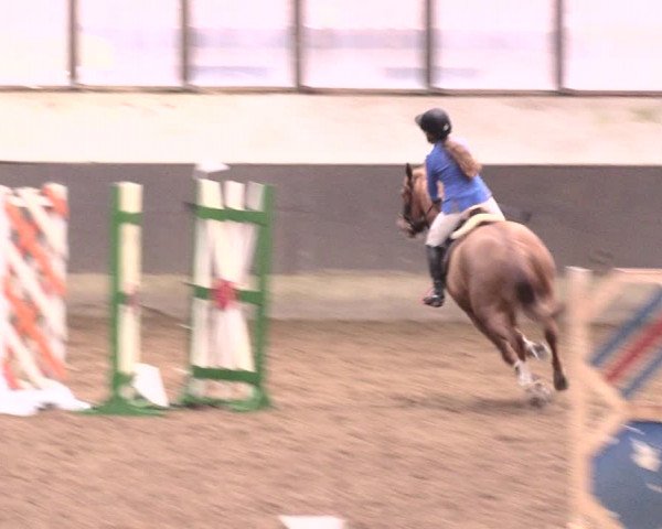 Reitturnier Dallgow 2018