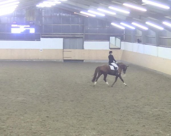 Reitturnier Datteln 2018
