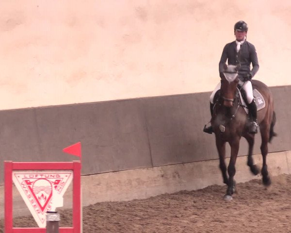Reitturnier Dallgow 2018