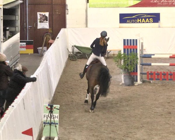 Reitturnier Viernheim 2018