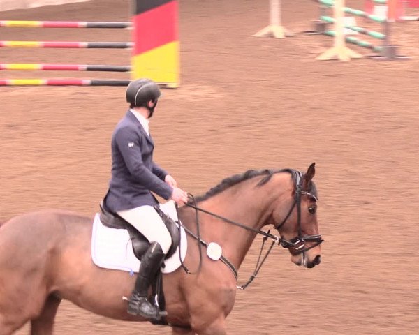 Reitturnier Dallgow 2018
