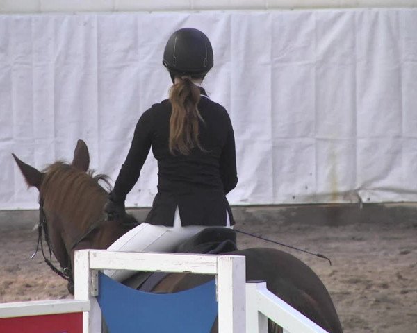 Reitturnier Viernheim 2018
