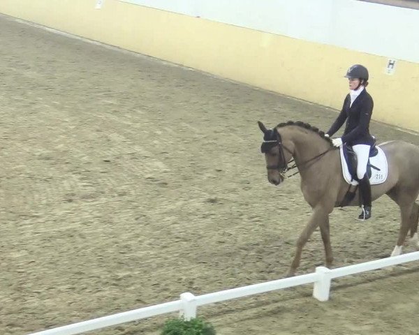 Reitturnier Datteln 2018