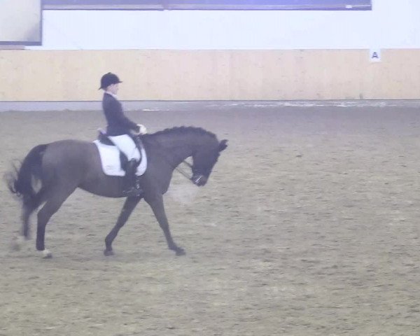 Reitturnier Datteln 2018