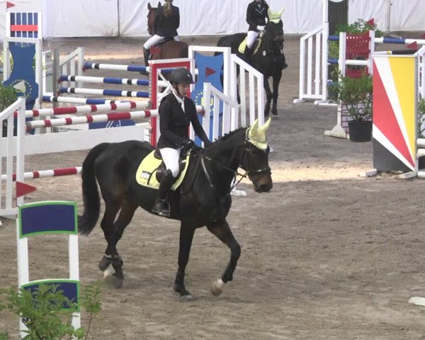 Reitturnier Viernheim 2018