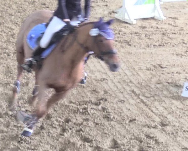 Reitturnier Datteln 2018