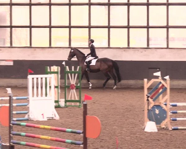 Reitturnier Dallgow 2018