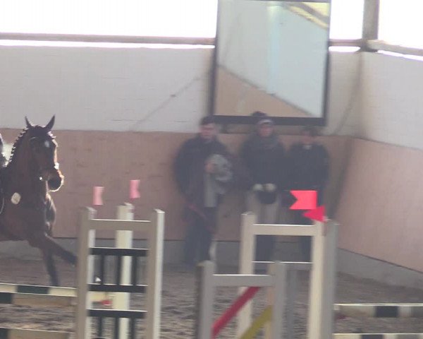 Reitturnier Datteln 2018
