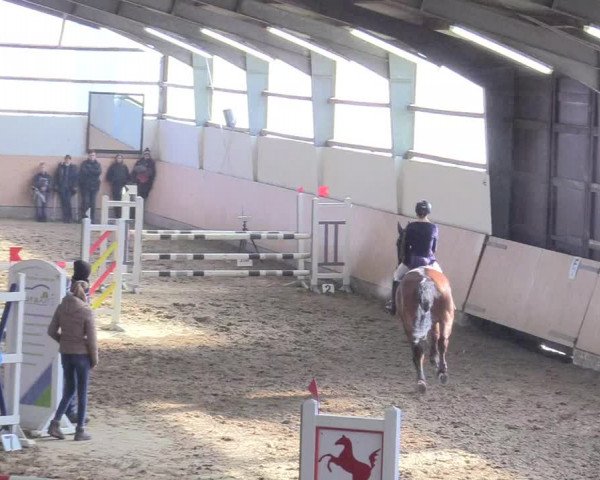 Reitturnier Datteln 2018