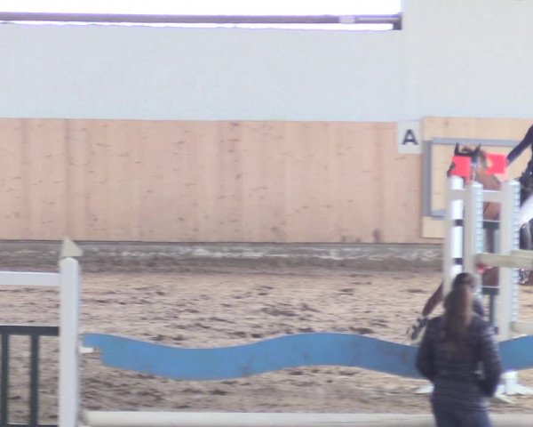 Reitturnier Datteln 2018