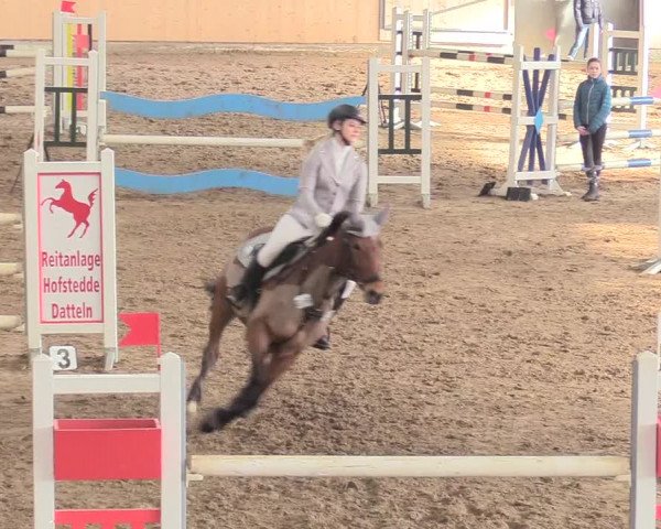 Reitturnier Datteln 2018