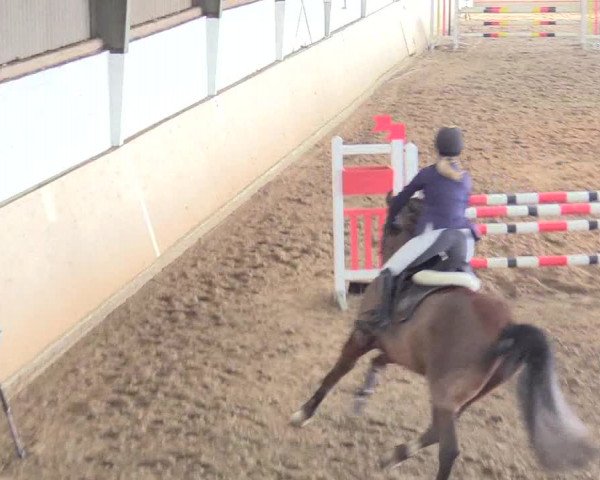 Reitturnier Datteln 2018