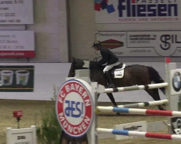 Reitturnier Borken 2018