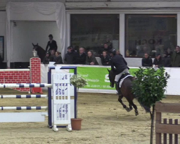 Reitturnier Borken 2018