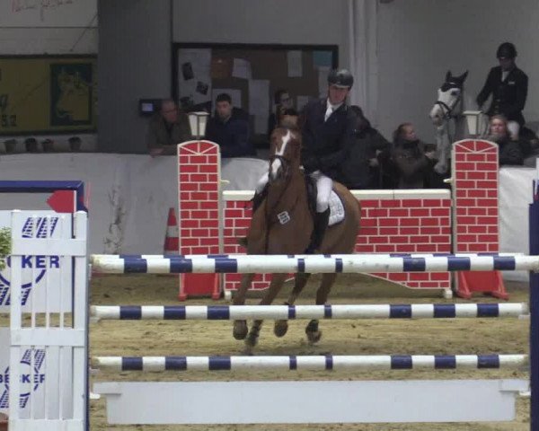 Reitturnier Borken 2018
