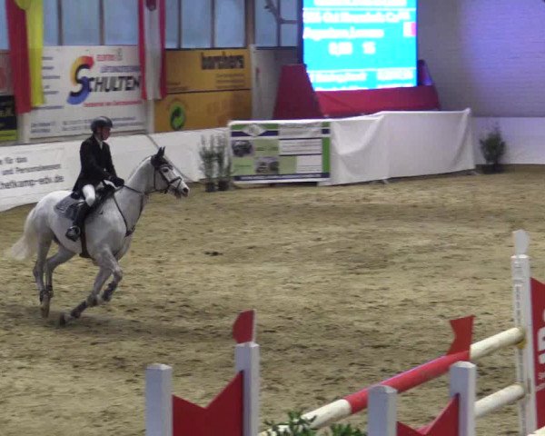 Reitturnier Borken 2018