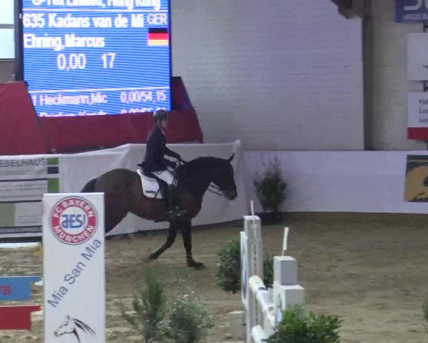 Reitturnier Borken 2018