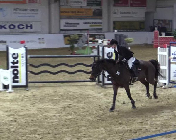 Reitturnier Borken 2018