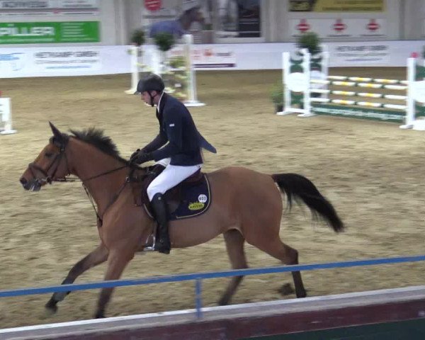 Reitturnier Borken 2018