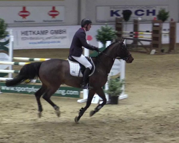 Reitturnier Borken 2018
