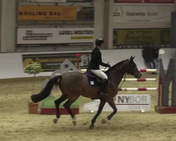 Reitturnier Borken 2018