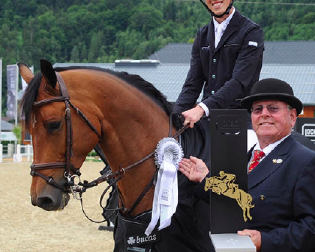Springpferd Balou D'Acord (Hannoveraner, 2008, von Balou du Rouet)