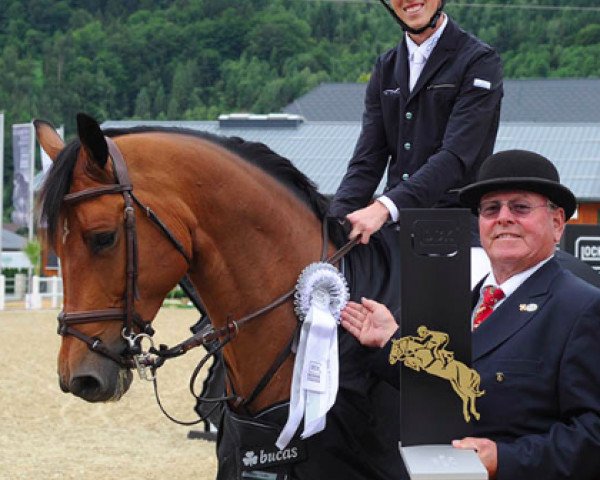 Springpferd Balou D'Acord (Hannoveraner, 2008, von Balou du Rouet)