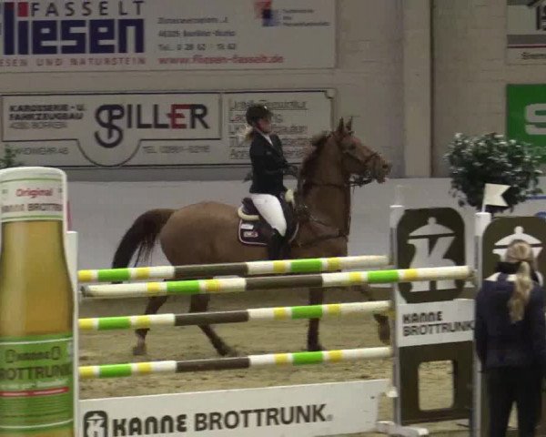 Reitturnier Borken 2018