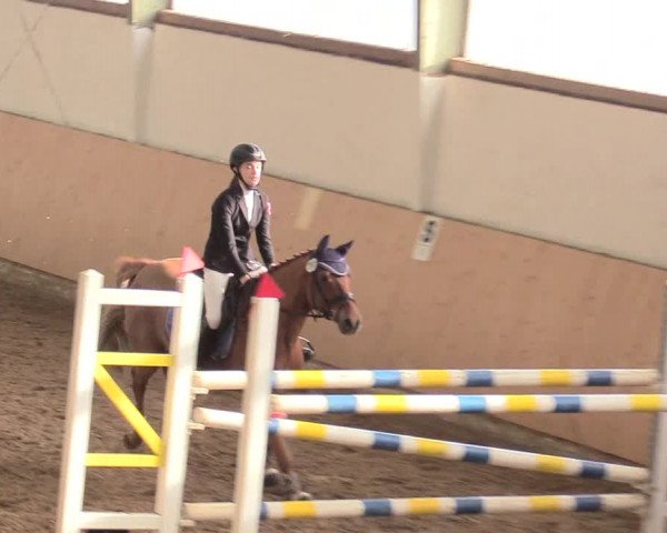 Reitturnier Datteln 2018