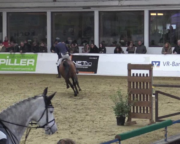 Reitturnier Borken 2018
