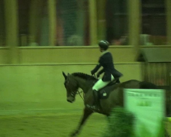 Reitturnier Köln-Leverkusen 2018