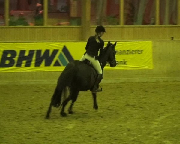 Reitturnier Köln-Leverkusen 2018