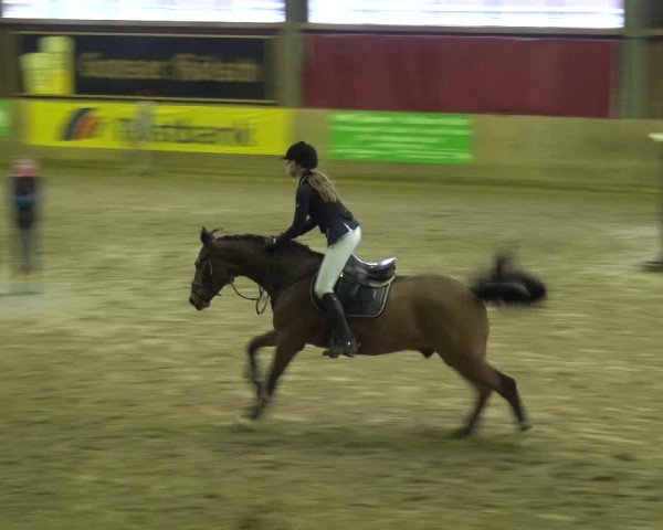 Reitturnier Köln-Leverkusen 2018