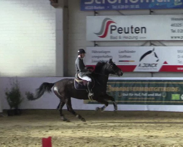 Reitturnier Borken 2018