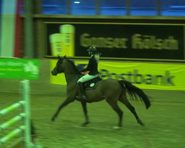 Reitturnier Köln-Leverkusen 2018