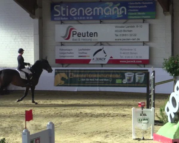 Reitturnier Borken 2018
