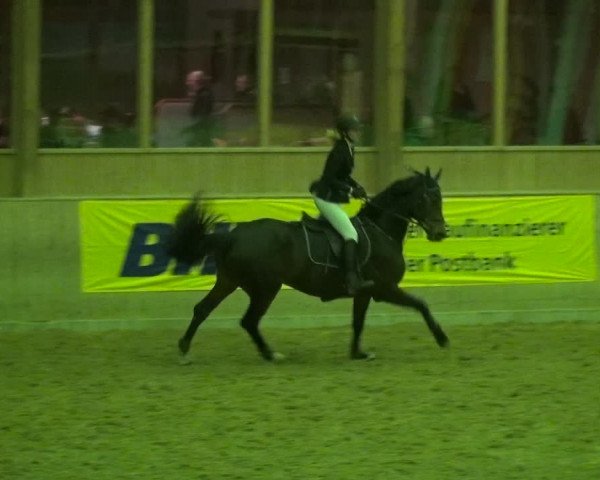 Reitturnier Köln-Leverkusen 2018