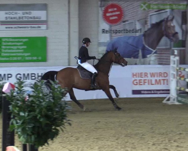 Reitturnier Borken 2018