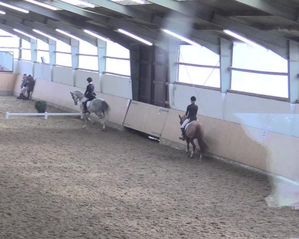 Reitturnier Datteln 2018