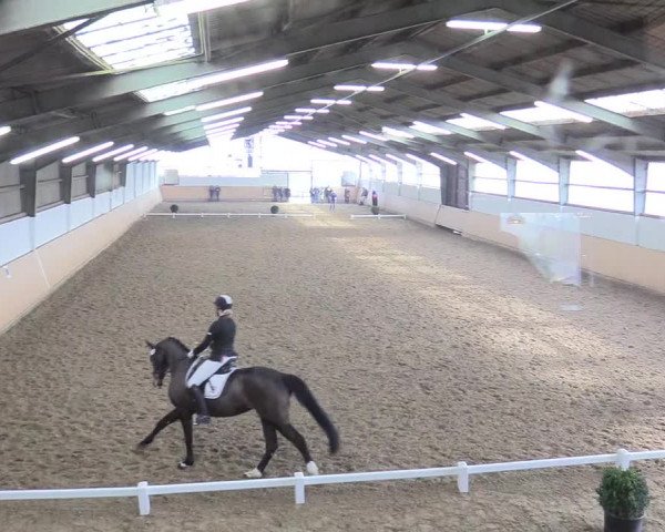 Reitturnier Datteln 2018