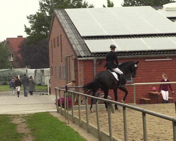Reitturnier Ascheberg 2021